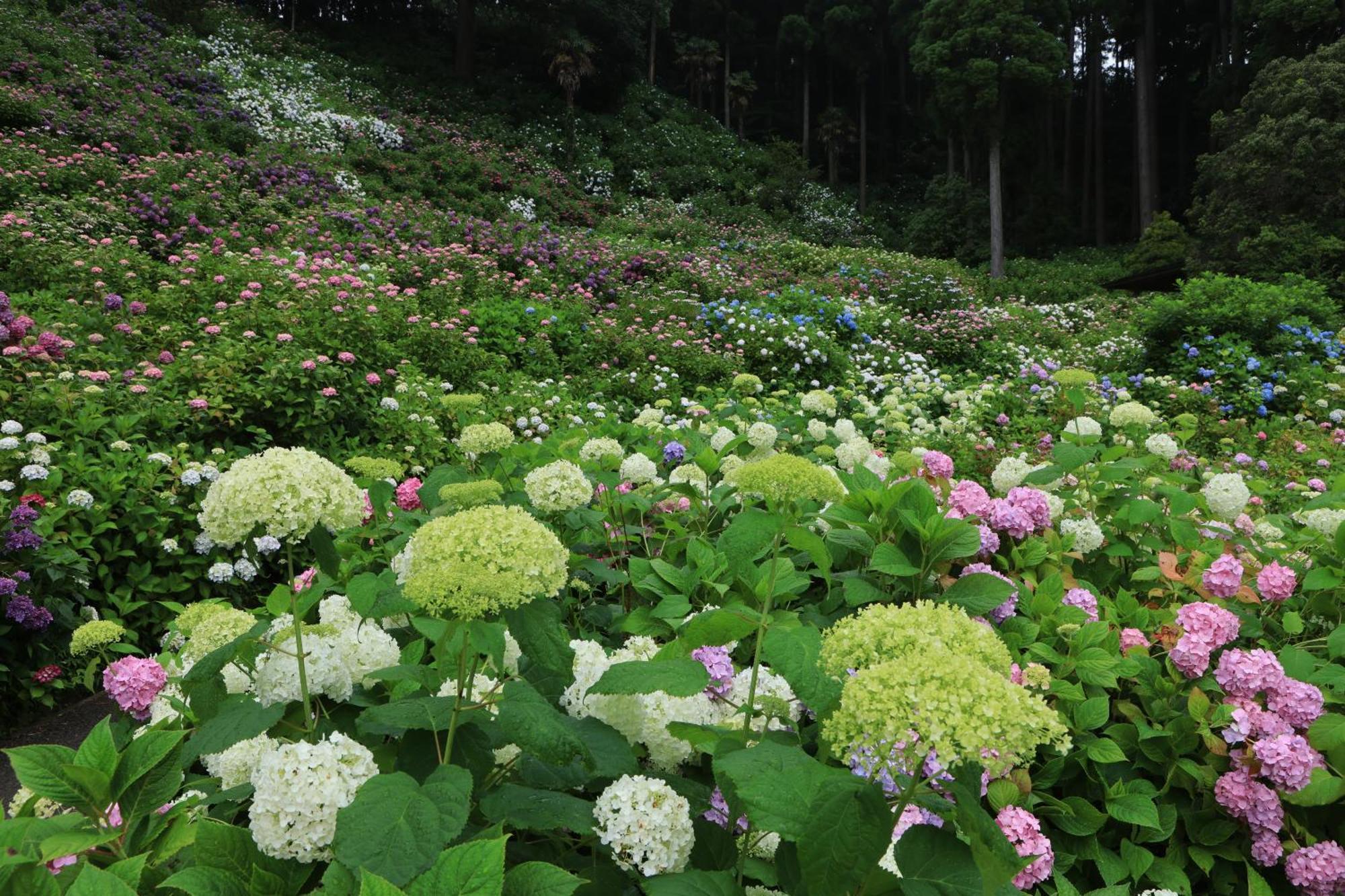 古民家民泊しずく亭-Traditional Japanese Style House Shizuku-Tei Mobara 外观 照片
